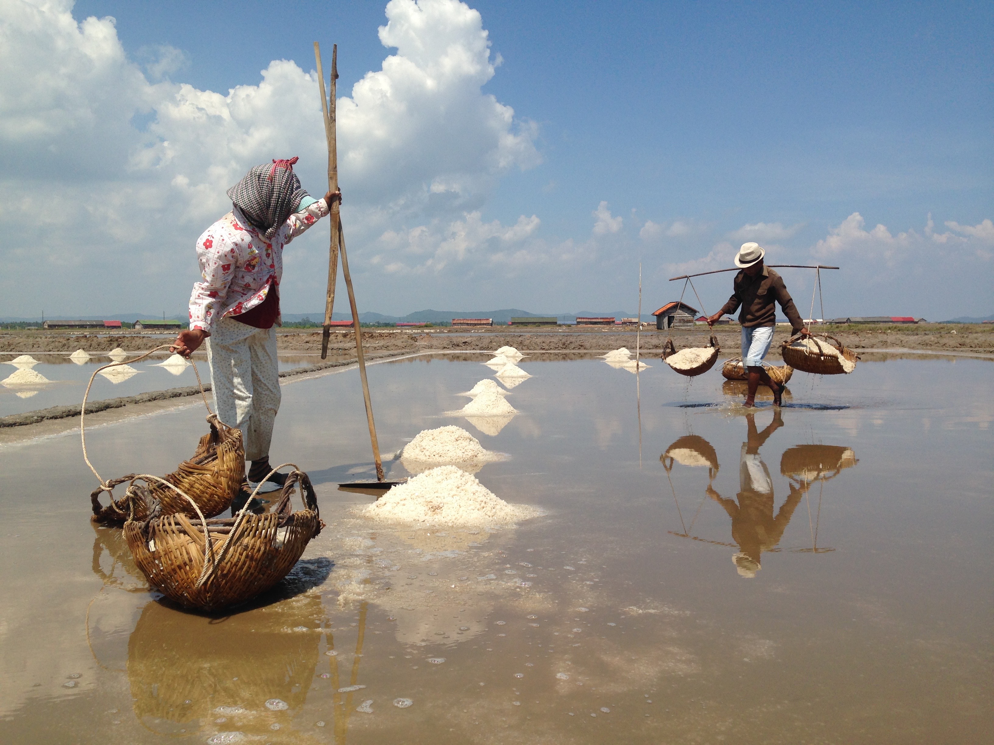 attraction-Kampot Salt Product Fields 2.jpeg